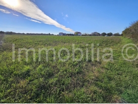 POLJOPRIVREDNO ZEMLJIŠTE OD 11.000 M2, PRISTUP SA ASFALTA ,VELI VRH